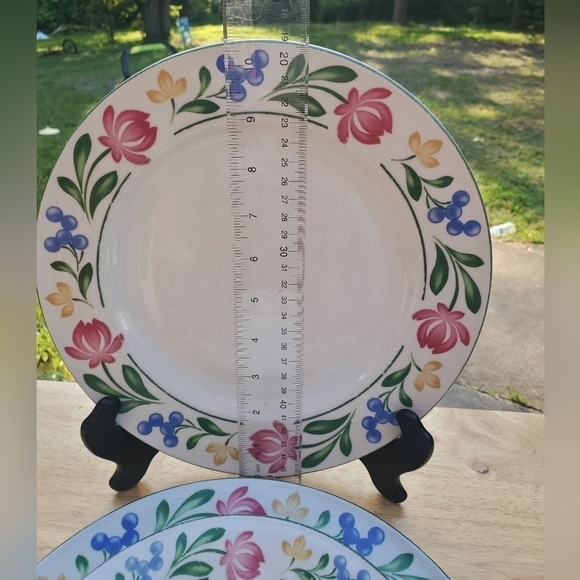 Set Of 3 Dorchester Farberware 388_ 2 Salad Plates‎ & 1 Soup/Rice Plate. - Picture 3 of 7
